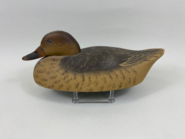 Wildfowler Mallard Hen, Old Saybrook (#7640)