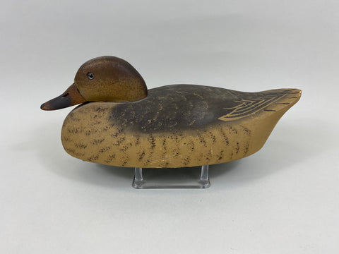 Wildfowler Mallard Hen, Old Saybrook (#7640)