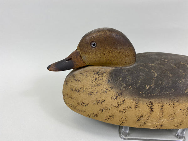 Wildfowler Mallard Hen, Old Saybrook (#7640)