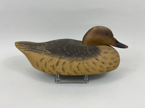 Wildfowler Mallard Hen, Old Saybrook (#7640)