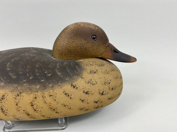 Wildfowler Mallard Hen, Old Saybrook (#7640)