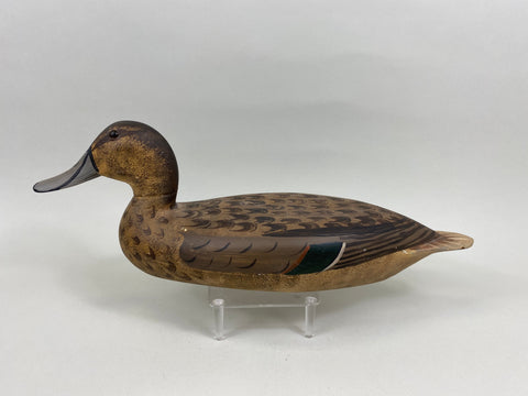 Robert Elliston Pintail Hen with Mike Lashbrook Paint (#7641)