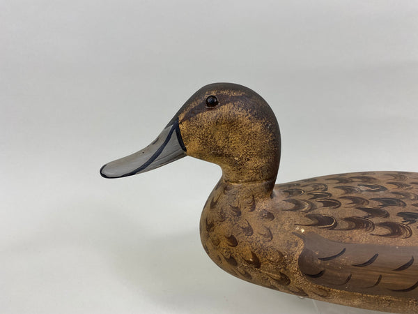 Robert Elliston Pintail Hen with Mike Lashbrook Paint (#7641)