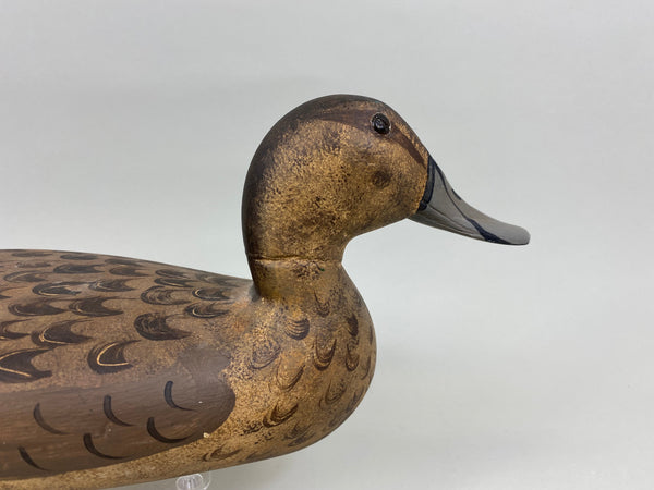 Robert Elliston Pintail Hen with Mike Lashbrook Paint (#7641)