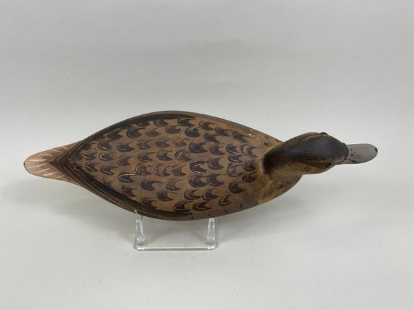 Robert Elliston Pintail Hen with Mike Lashbrook Paint (#7641)