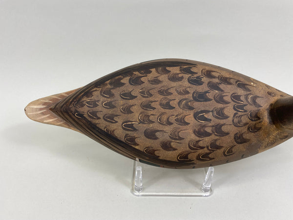 Robert Elliston Pintail Hen with Mike Lashbrook Paint (#7641)