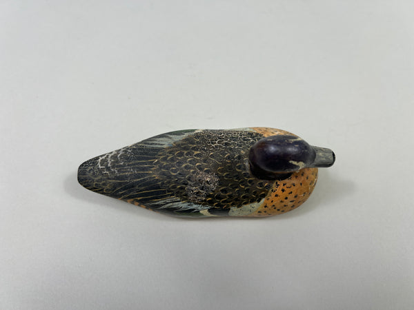 D. Ward Third Size Blue Wing Teal (#2367)