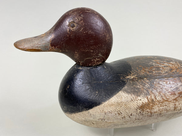 Mason Tack-Eye Redhead Drake (#7651)