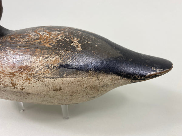 Mason Tack-Eye Redhead Drake (#7651)