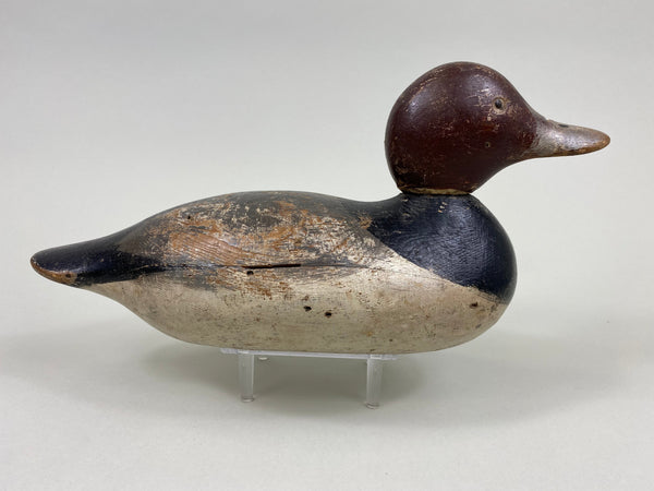 Mason Tack-Eye Redhead Drake (#7651)