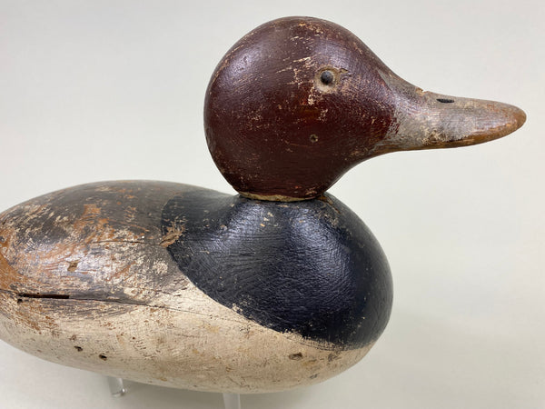 Mason Tack-Eye Redhead Drake (#7651)