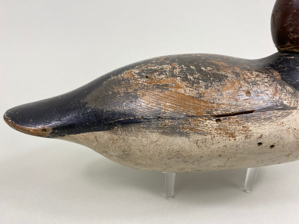 Mason Tack-Eye Redhead Drake (#7651)