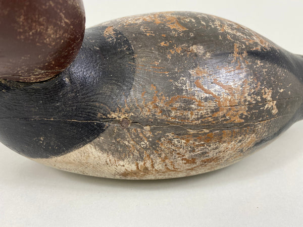 Mason Tack-Eye Redhead Drake (#7651)