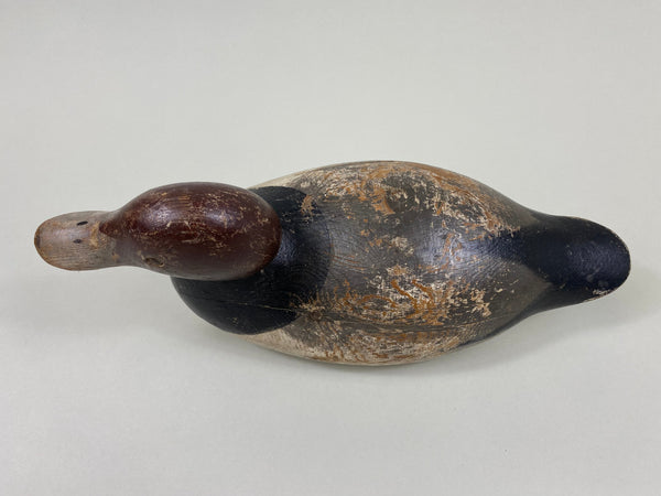 Mason Tack-Eye Redhead Drake (#7651)