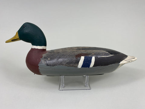 Robert Elliston Mallard Drake, Circa 1900's (#7653)