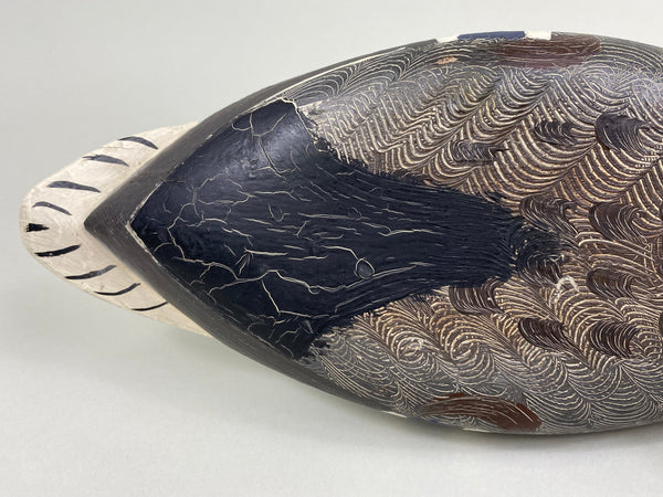 Robert Elliston Mallard Drake, Circa 1900's (#7653)