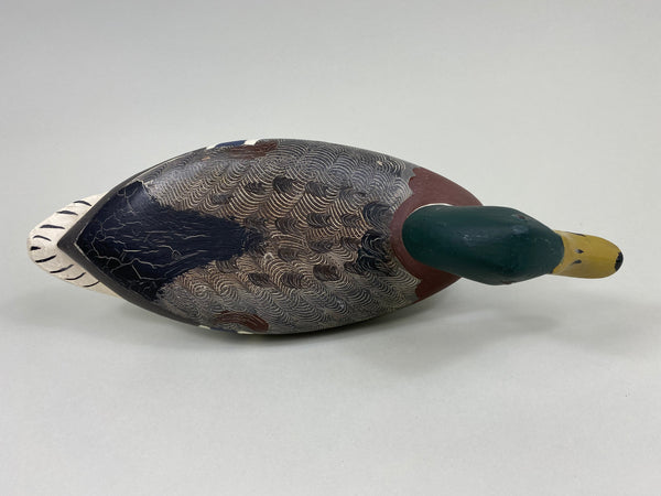 Robert Elliston Mallard Drake, Circa 1900's (#7653)