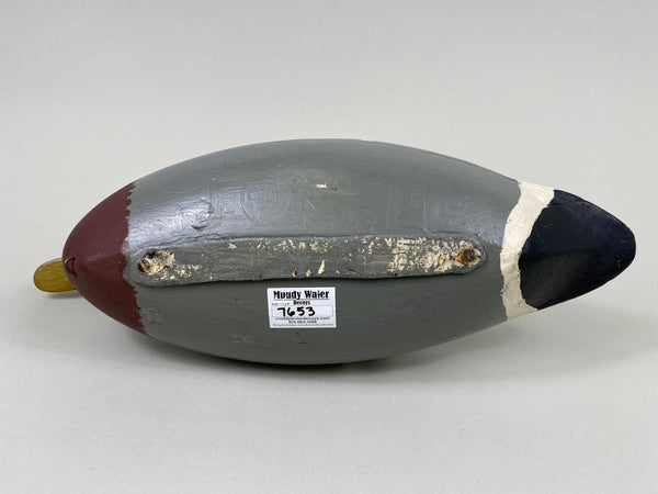 Robert Elliston Mallard Drake, Circa 1900's (#7653)