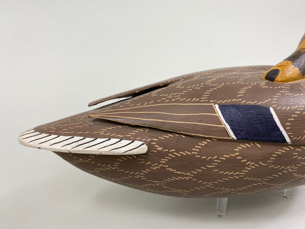 Unknown Sleeper Mallard Hen (#7658)