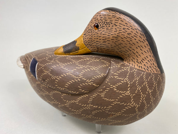 Unknown Sleeper Mallard Hen (#7658)