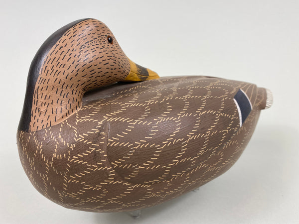 Unknown Sleeper Mallard Hen (#7658)