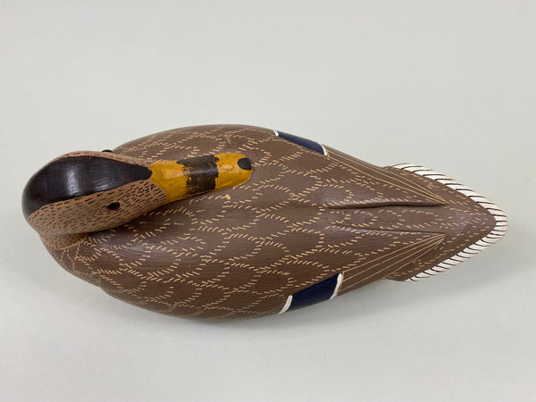 Unknown Sleeper Mallard Hen (#7658)