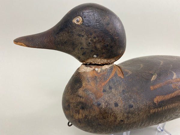 Mason Mallard Hen, All Original, Unique Weight (#7670)