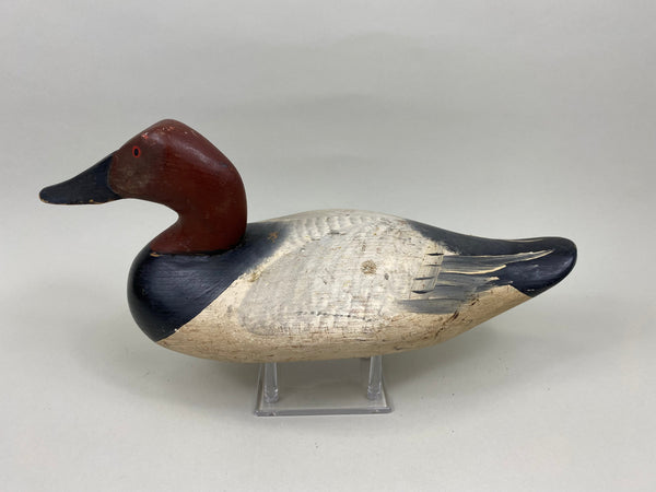 Madison Mitchell Canvasback Drake (#7672)