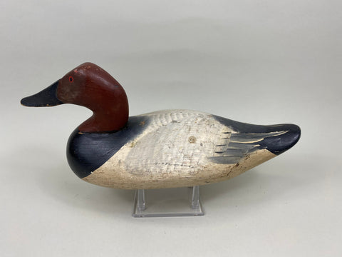 Madison Mitchell Canvasback Drake (#7672)
