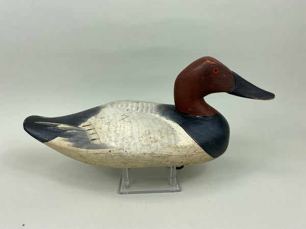 Madison Mitchell Canvasback Drake (#7672)