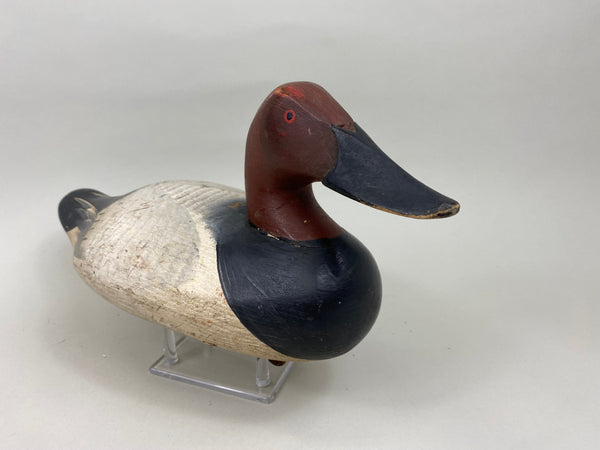 Madison Mitchell Canvasback Drake (#7672)
