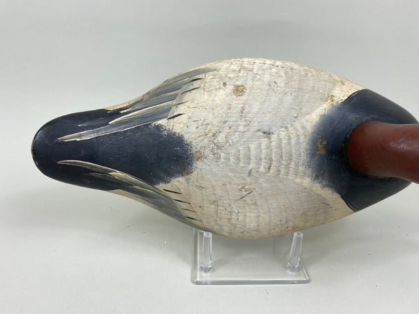 Madison Mitchell Canvasback Drake (#7672)