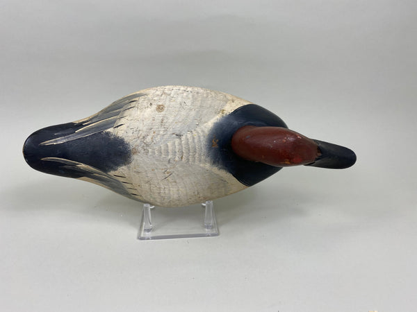 Madison Mitchell Canvasback Drake (#7672)