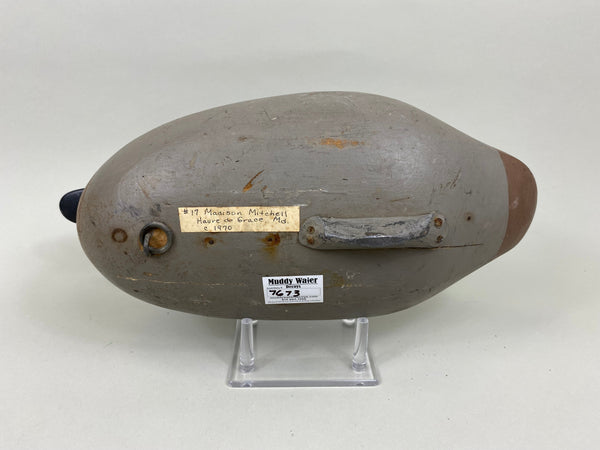 Madison Mitchell Canvasback Hen (#7673)