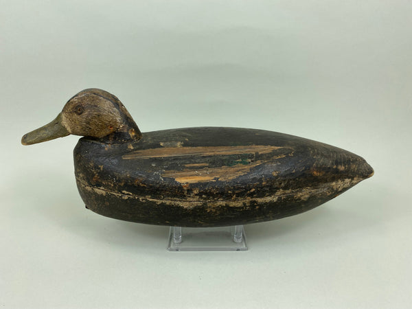J. W. Bowen Black Duck, Circa 1920's (#7675)