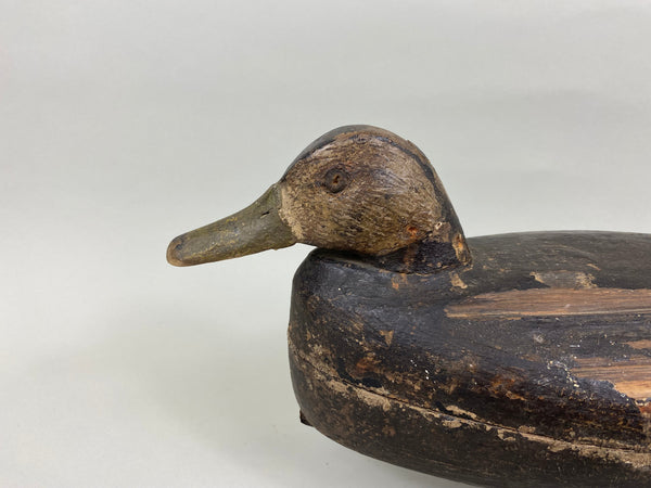 J. W. Bowen Black Duck, Circa 1920's (#7675)