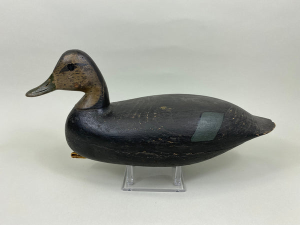H. V. Shourds Black Duck, Circa 1890's (#7676)
