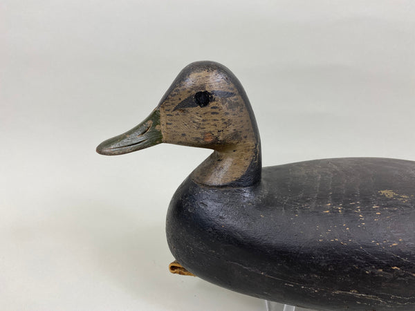 H. V. Shourds Black Duck, Circa 1890's (#7676)