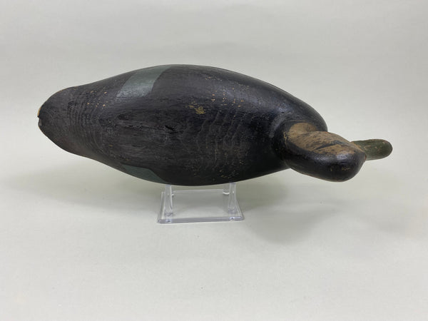 H. V. Shourds Black Duck, Circa 1890's (#7676)