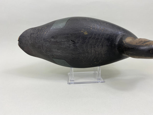 H. V. Shourds Black Duck, Circa 1890's (#7676)