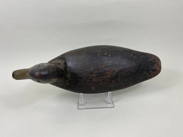 New Jersey Black Duck, Circa 1920's (#7680)