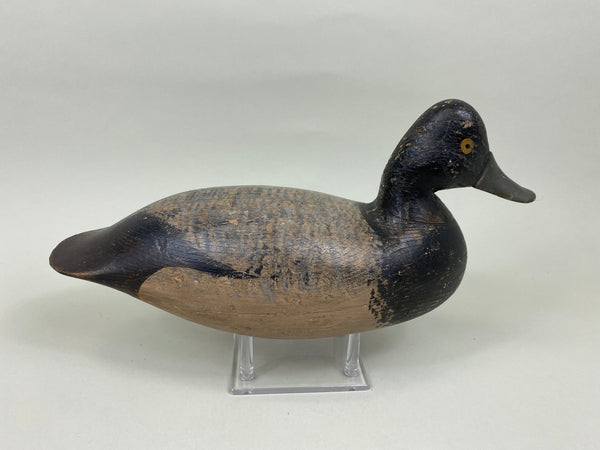 Harry Shourds Blue Bill Drake, Circa 1890's (#7681)