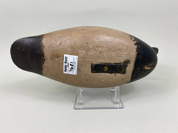 Harry Shourds Blue Bill Drake, Circa 1890's (#7681)