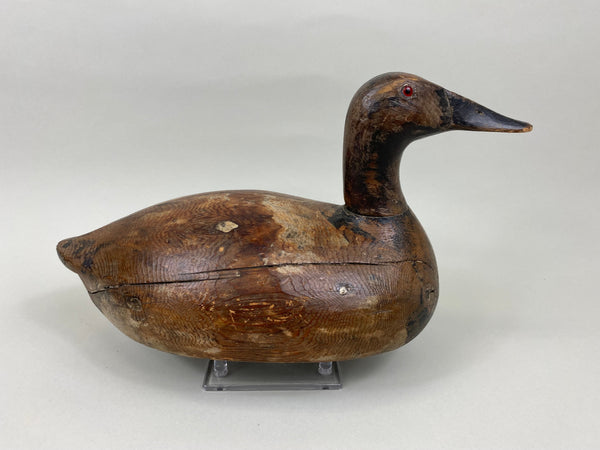 Ed "One Arm" Kellie Canvasback Hen, Original Paint (#7683)