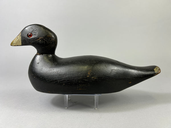 Pratt Factory Coot (#8028)