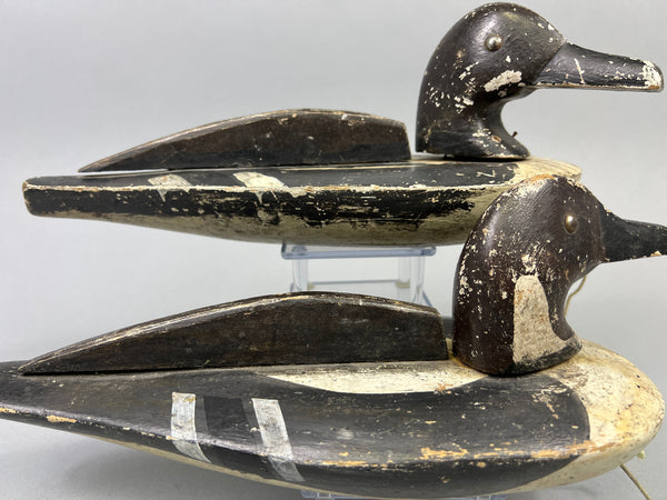 Folky Pair of Unknown Wisconsin Pintails (#3944)