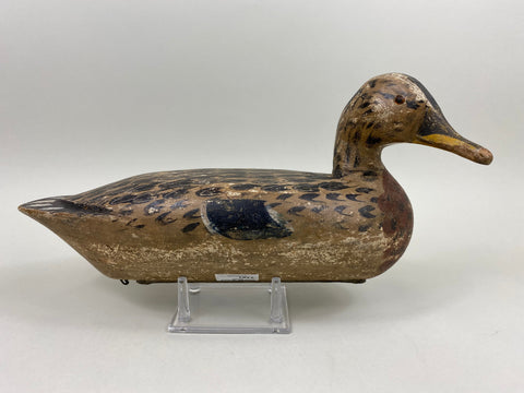 George "Skippy" Barto Turned Head Mallard Hen (#7701)