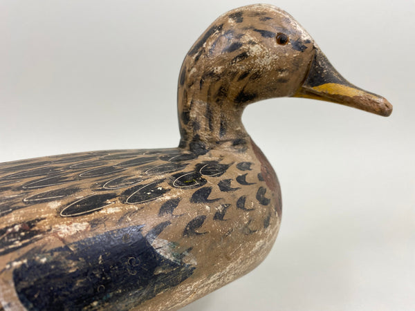 George "Skippy" Barto Turned Head Mallard Hen (#7701)