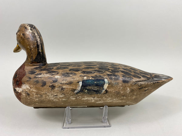 George "Skippy" Barto Turned Head Mallard Hen (#7701)