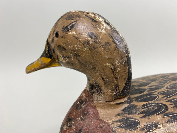 George "Skippy" Barto Turned Head Mallard Hen (#7701)